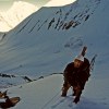 Rob Zipplies climbing on Chogolisa, Pakistan