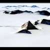 Antarctic Beauty