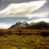 Meadow in Torres del Paine park, Chile