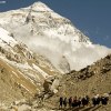 Lincoln Hall on a yak after rescue on Everest