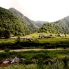 Caucasus meadows