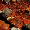 Mineral springwater, Russia