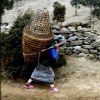 Khumjung (5): Sherpani carrying basket with goods from Namche