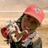 Peace in Tibet (2)