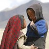 Tibetan kids in love, Views 535