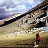 White Rocks traverse on Aconcagua, Argentina