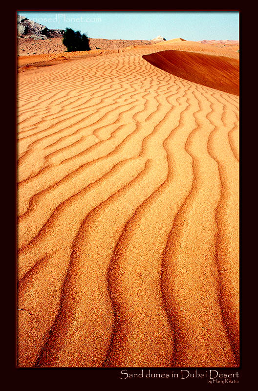 Sand dunes near Dubai, UAE