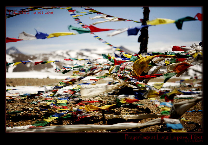 Prayer flags at Lung La Pass, Tibet