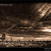 Photo of Joshua Tree national Park in Black and White (2) on ExposedPlanet.com