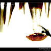 Photo of Hummingbird feeding in Baja California on ExposedPlanet.com