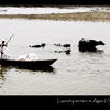 Photo of Laundry service in Agra, part 1: dirty laundry ferry on ExposedPlanet.com