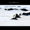 Photo of Antarctic Beauty on ExposedPlanet.com