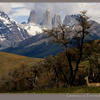 Photo of Guanaco and Torres del Paine on ExposedPlanet.com