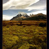 Photo of Meadow in Torres del Paine park, Chile on ExposedPlanet.com