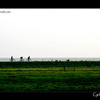 Photo of Dutch Cyclists fighting the wind on a dike on ExposedPlanet.com