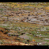 Patagonia: Happy feet, pinguin hole in one