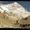 Photo of Lincoln Hall on a yak after rescue on Everest on ExposedPlanet.com