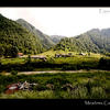 Photo of Caucasus meadows on ExposedPlanet.com
