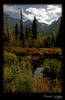 British Columbia Landscape