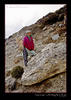 Nepali Sherpa girl collecting yak dung in Khumbu Valley