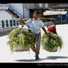 Photo of Nepali man carrying baskets in Kathmandu on ExposedPlanet.com