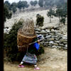 Photo of Khumjung (5): Sherpani carrying basket with goods from Namche on ExposedPlanet.com
