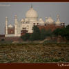 Photo of Taj or Trash Mahal, India on ExposedPlanet.com