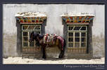 Parking space in Taschi Dzom, Tibet
