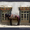 Photo of Parking space in Taschi Dzom, Tibet on ExposedPlanet.com