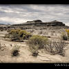 Photo of Bushes in Valle de la Luna, Argentina on ExposedPlanet.com
