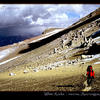 Photo of White Rocks traverse on Aconcagua, Argentina on ExposedPlanet.com