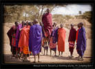 Young Maasai man performing the adumu, also know as the 'jumping dance', Tanzania