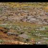 Photo of Patagonia: Happy feet, pinguin hole in one on ExposedPlanet.com