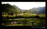Caucasus meadows