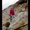 Nepali Sherpa girl collecting yak dung in Khumbu Valley