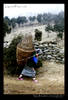 Khumjung (5): Sherpani carrying basket with goods from Namche
