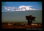 Kilimanjaro from Moshi after snow